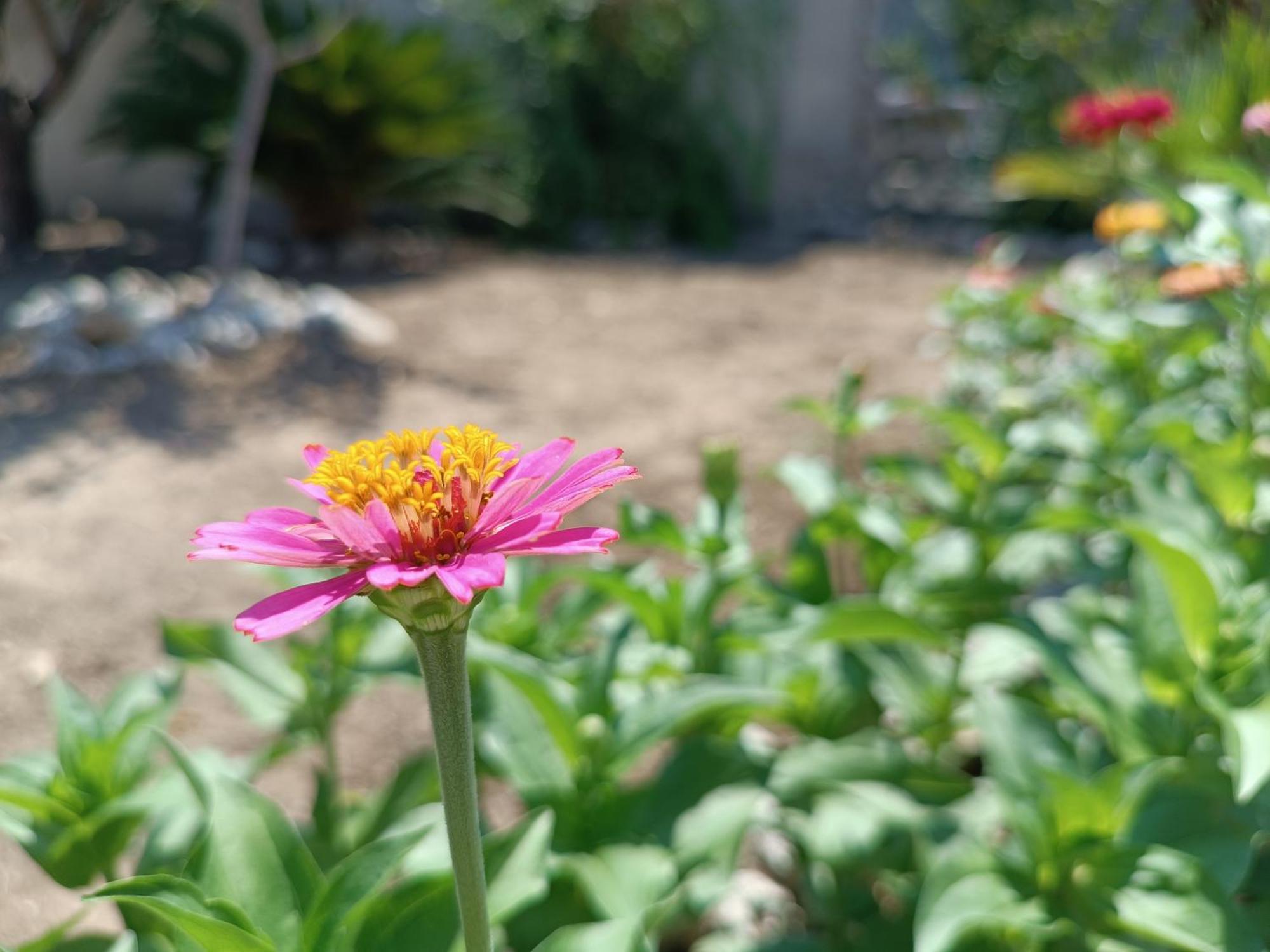 Il Giardino Di Sofia Charm And Comfort Apartment Torre dell'Orso Ngoại thất bức ảnh
